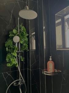 Modern one bedroom with sauna pool & gym