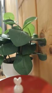 Chez Céline Sous la Neige - Vue montagne & ambiance chalet