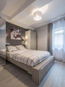 Appartements Appart Hotel Bourgoin : photos des chambres