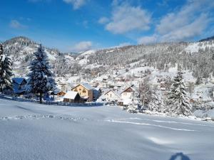 Pensiunea,Casa Bradet