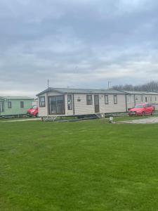 Shells at Sandylands