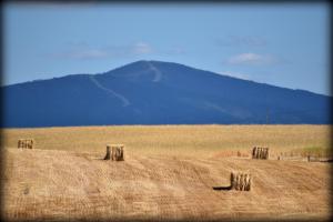 Casa Rural El Bornizo