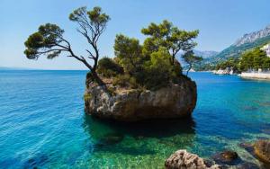 Apartments Kapetan Jure