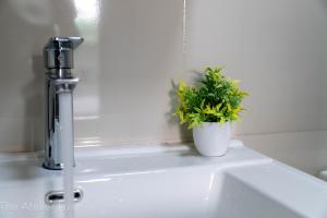 Atelier Luxe Homes-Misty Springs Residence