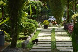 Junia Guesthouse Bukit Lawang