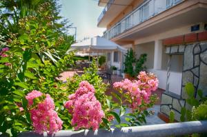 Galini Apartments Olympos Greece