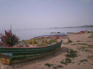 Appartamenti Sant'Andrea img45