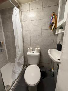 Earls Court and Central Studio Flat