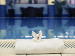 Mercure Jelenia Góra