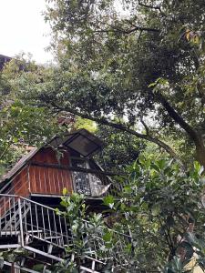 Peaceful Stream Coffee - Homestay