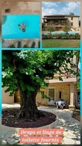 Gîte 2 "Le Tilia " aux magnolias 3 étoiles