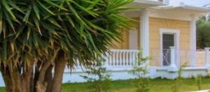 Φ ilosofia in living