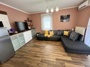 Dorina Wellness Apartman