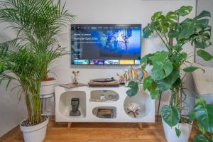 The view of Kotor - Sea & Old town view