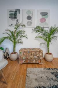 The view of Kotor - Sea & Old town view