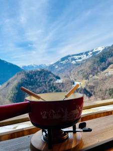 Appartement en Montagne