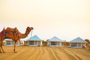 marwar desert camp sam jaisalmer