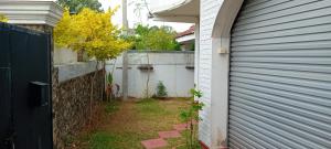 Point De Negombo