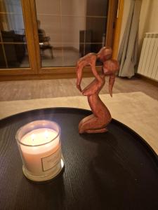 Winter Ski with stunning view