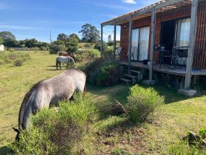Bungalow de campo Torero - sierras, naturaleza y relax