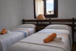 Casa con chimenea - Casa Anina