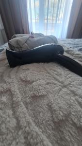 Luxury Apartment Paraćin - City Center