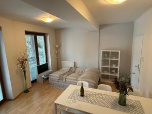 Boutique Apartment Petra