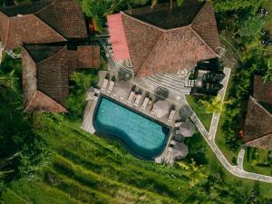 Cassowary Villas Sidemen by AGATA