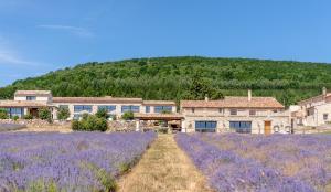 Domaine Château du Bois Provence