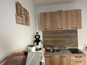 Le Cocon - studio Centre ville tout équipé