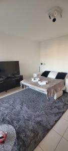 Centre Cannes Bristol
