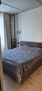 Cozy 3-Room Flat by Twinsbet Arena & Ozas