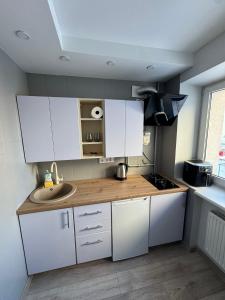 Urban Nest Čiurlionio Apartment City Center