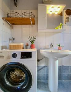 Alkis Olive Grove Cottage