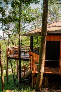 The Grand Forest Jarabacoa