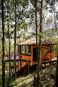 The Grand Forest Jarabacoa