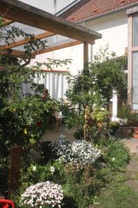 Schönes Apartment - mit grünem Außengelände und Saunanutzung - zentral gelegen in der Nähe von Innenstadt und Bahnhof