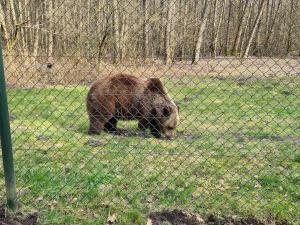 Urlaub auf dem Bauernhof mit Garten und Terrasse im Grünen