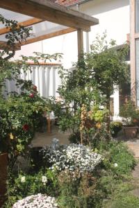 Schönes Apartment - mit grünem Außengelände und Saunanutzung - zentral gelegen in der Nähe von Innenstadt und Bahnhof