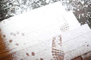 Log cabin in private woodland with lake