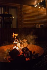 Log cabin in private woodland with lake