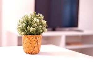 NOVAM Fuentecilla Guest Homes Malaga