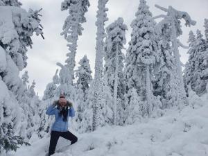 Czarna Góra Apartament 102