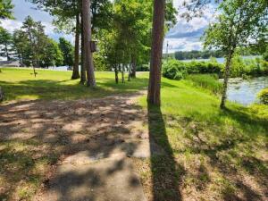 Cabin 1 | Clear Water