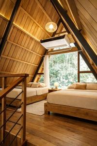 La Habana Amazon Reserve