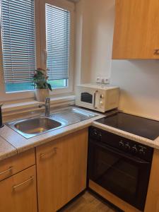 Apartmán Třemošná