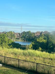 Designer Escape by the Pond