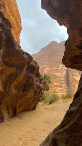 Desert Glow Wadi Rum