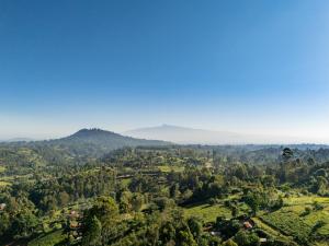Paradise Farm Cottages by MOKAWA, Nyeri