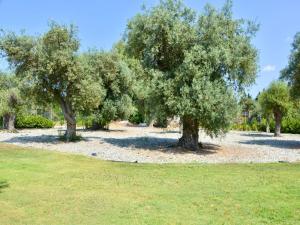 Luxury rental villa for 14 people